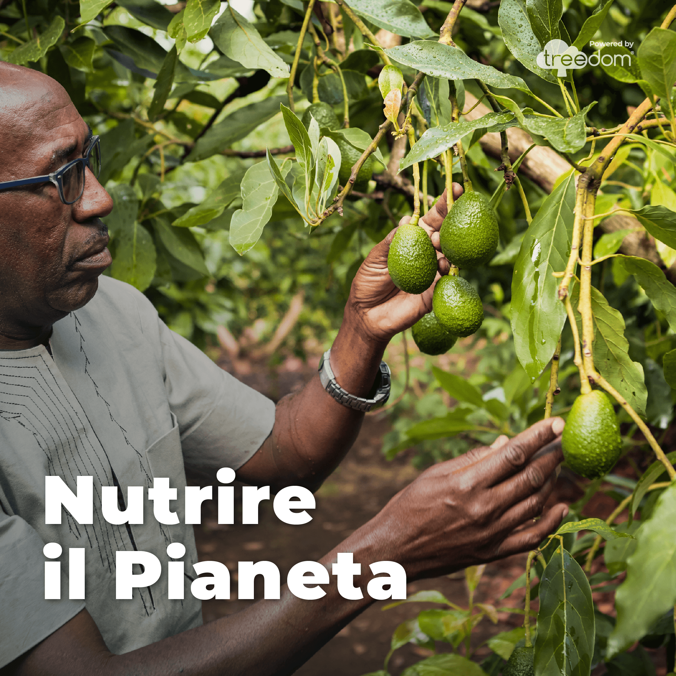 Nutrire il Pianeta — Feeding the Planet programme by Treedom