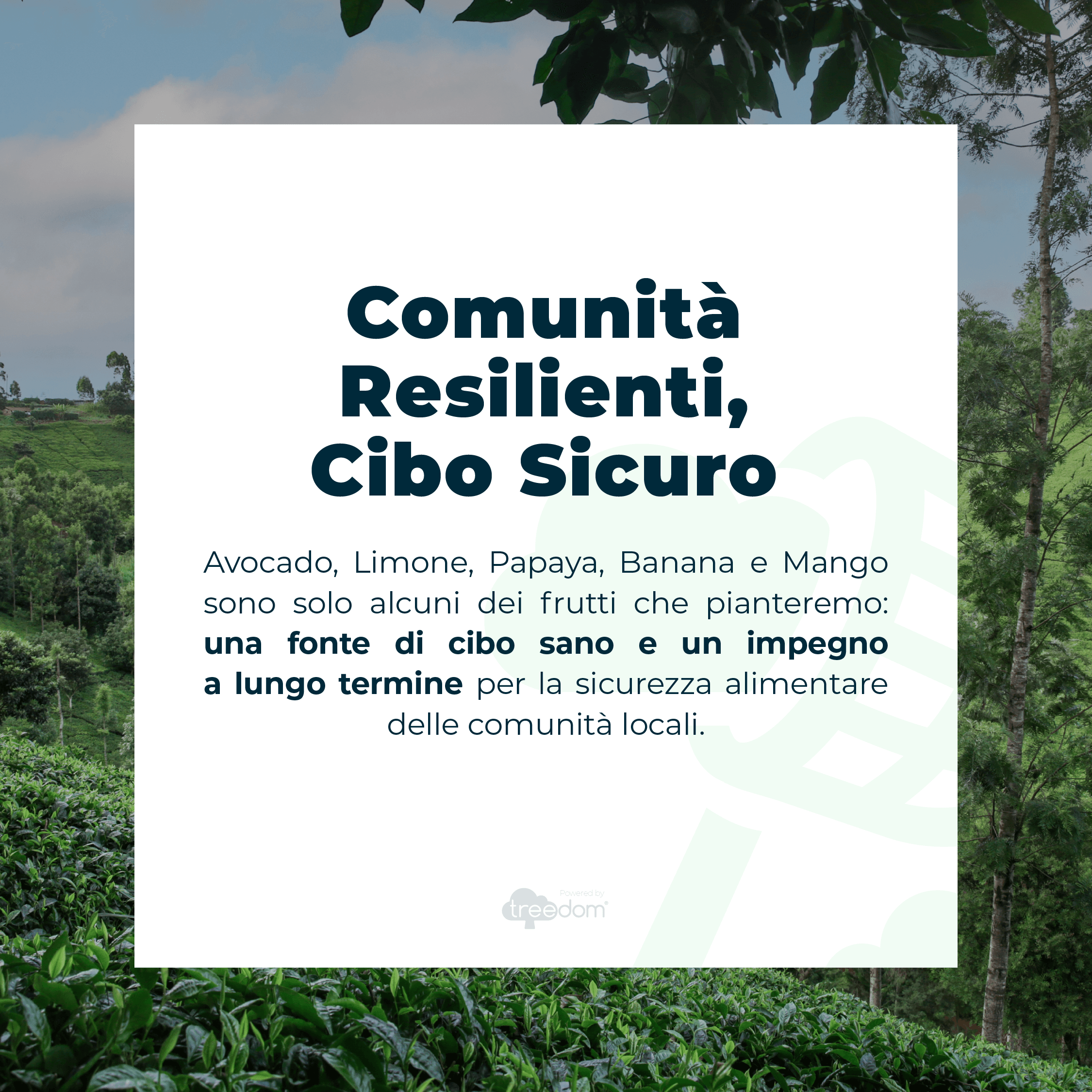 Resilient communities, sustainable food